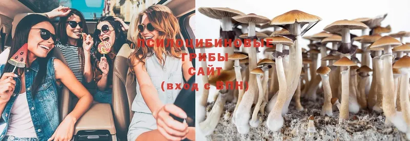 Псилоцибиновые грибы MAGIC MUSHROOMS  ОМГ ОМГ вход  Абинск 